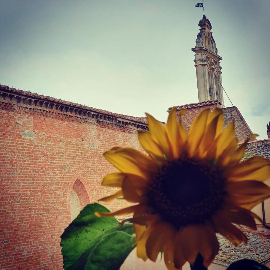 Appartaments San Francesco Castelfiorentino Exterior foto